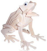 М041 Модель "Лягушки"