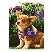 Рх-141 Картина по номерам Lori на холсте 30х40 "Милый корги"