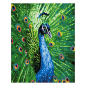 АМ-122 Алмазная мозаика Lori 40х50 "Павлин"