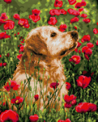 АМ-118 Алмазная мозаика Lori 40х50 "Лабрадор в цветах"