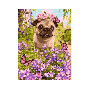 Кпн-167 Картина по номерам Lori 20х28,5 "Маленький песик"