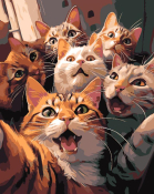 Рх-190 Картина по номерам Lori на холсте 40х50 "Котофото"