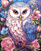 Рх-188 Картина по номерам Lori на холсте 40х50 "Совушка"