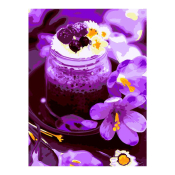 Кпн-263 Картина по номерам Lori 28,5х38 "Яркий десерт"