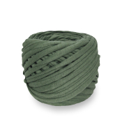 Hobyt (100% хлопок) 220гр. 50-60м. №555 папоротник