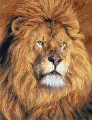 Картина по номерам 40х50 Царь зверей МСА1262