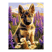 Рх-167 Картина по номерам Lori на холсте 30х40 "Маленький друг"