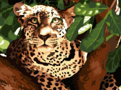 Кпн-007 Картина по номерам Lori 28,5х38 "Леопард"