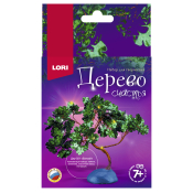 Дер-021 Дерево счастья "Бонсай"