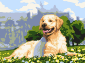 Рх-037 Картина по номерам Lori на холсте 30х40 "Золотистый ретривер"