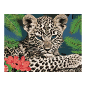 Кпн-301 Картина по номерам Lori 40х50 "Голубоглазый малыш"