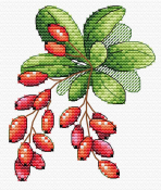 Набор для вышивания Жар-Птица "Барбарис" М-595 (12*10см)