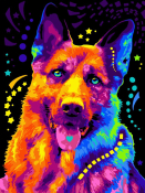 Кпн-037 Картина по номерам Lori 28,5х38 "Яркая овчарка"