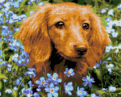 АМ-121 Алмазная мозаика Lori 40х50 "Такса"