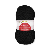 Осенняя (25% шерсть + 75% пан) 200гр. 150м №002 чёрный
