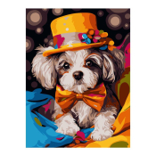 Кпн-351 Картина по номерам Lori 28,5х38 "Фокусник"