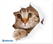 Коврик для мыши DEFENDER Silk, шёлковый, 230x190x1,6мм (в ассортименте)