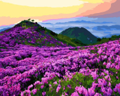 Картина по номерам 40х50 Бескрайние просторы МСА1794