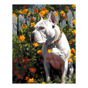 Рх-159 Картина по номерам Lori на холсте 40х50 "Защитник"