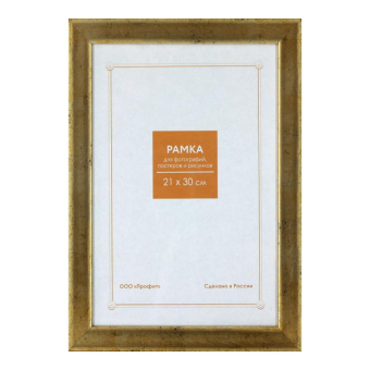 Фоторамка 21x30 Пластик RP 1066 золото 1