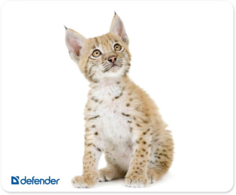 Коврик для мыши DEFENDER Silk, шёлковый, 230x190x1.6мм 1