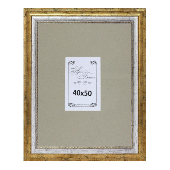 Фоторамка 40x50 Пластик АБ 5012 GG 1