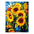 Кпн-264 Картина по номерам Lori 28,5х38 "Подсолнухи"