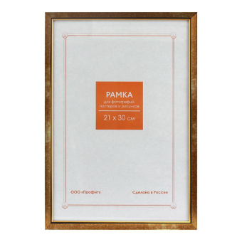 Фоторамка 21x30 Пластик RP 1514 золото 1